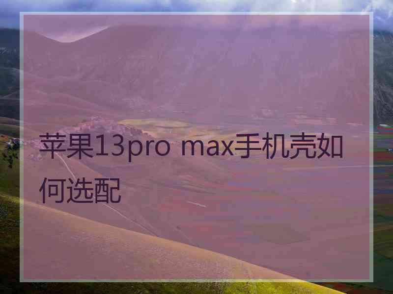 苹果13pro max手机壳如何选配