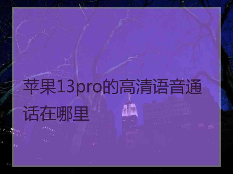 苹果13pro的高清语音通话在哪里