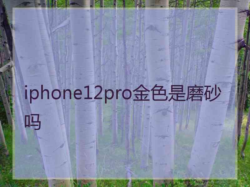 iphone12pro金色是磨砂吗