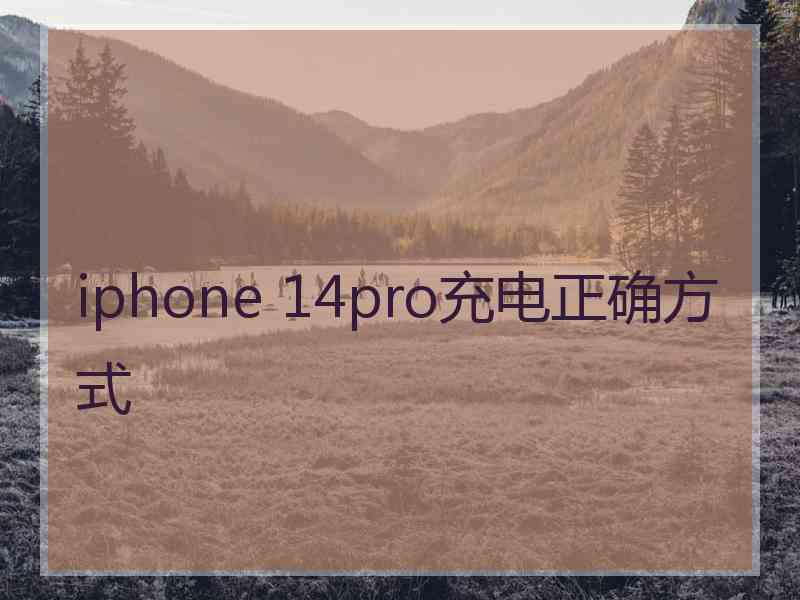 iphone 14pro充电正确方式