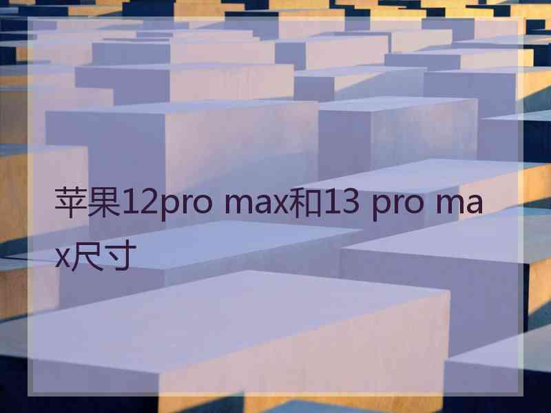 苹果12pro max和13 pro max尺寸