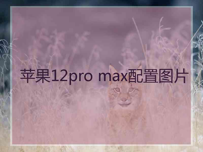 苹果12pro max配置图片