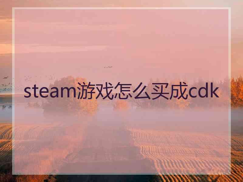 steam游戏怎么买成cdk