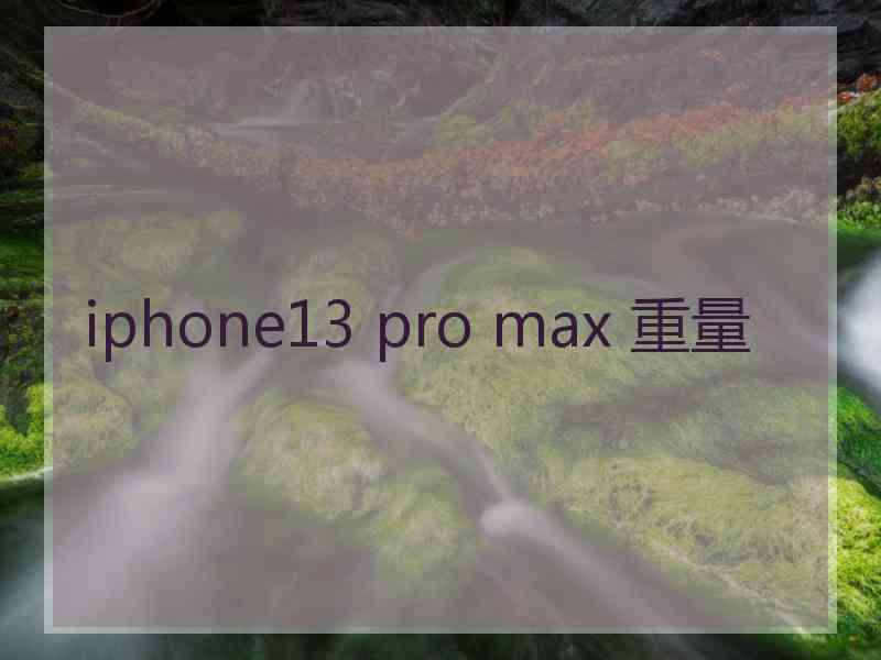 iphone13 pro max 重量