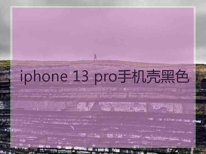 iphone 13 pro手机壳黑色