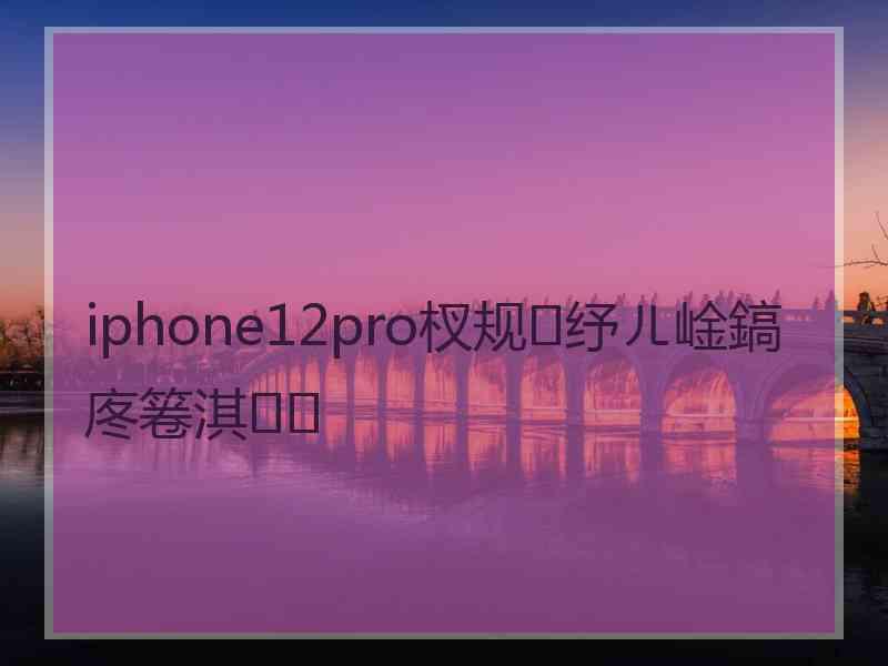 iphone12pro杈规纾ㄦ崯鎬庝箞淇