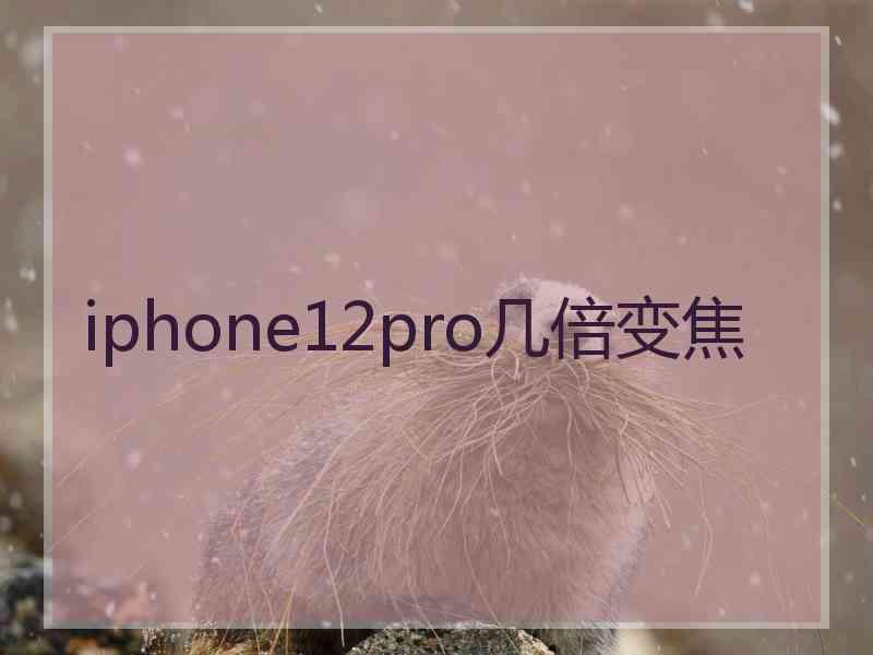 iphone12pro几倍变焦