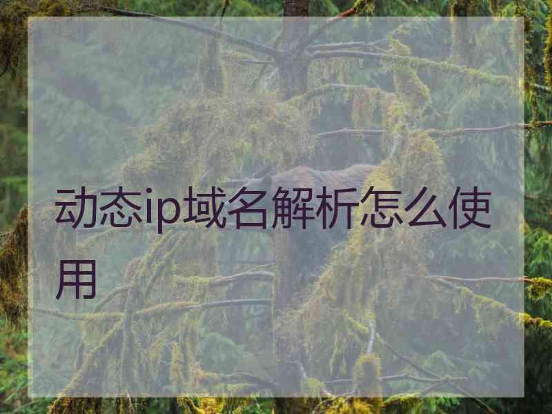 动态ip域名解析怎么使用