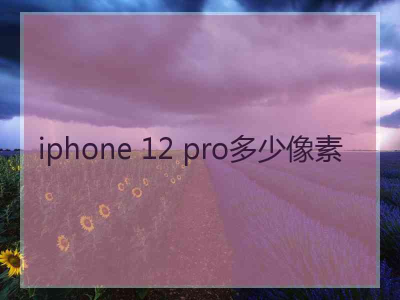 iphone 12 pro多少像素