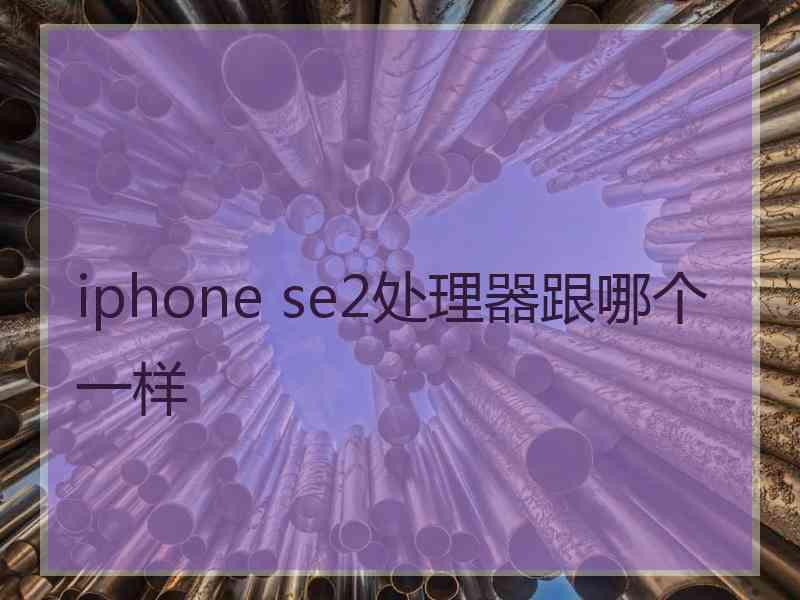 iphone se2处理器跟哪个一样