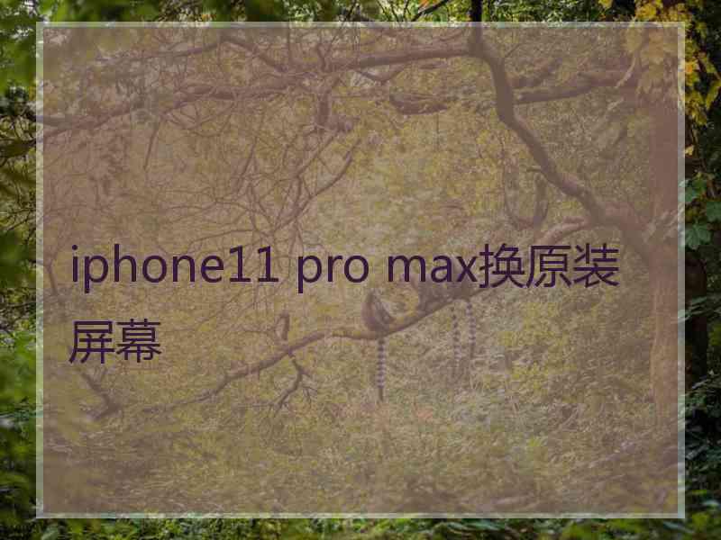 iphone11 pro max换原装屏幕