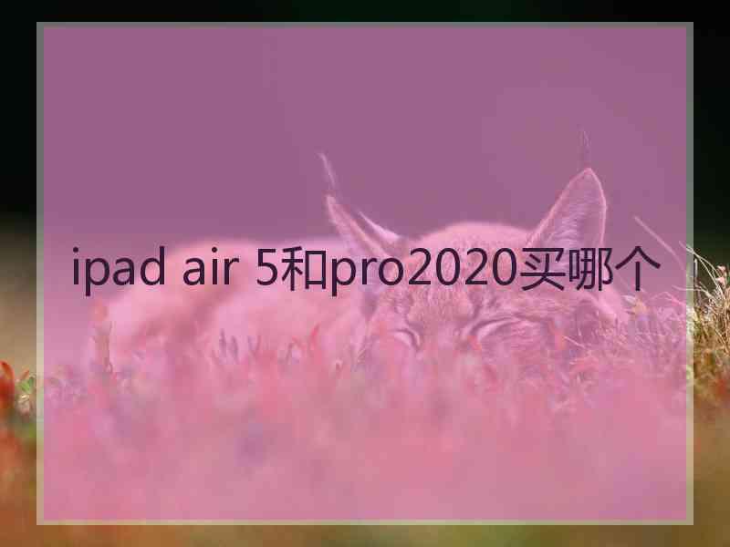 ipad air 5和pro2020买哪个