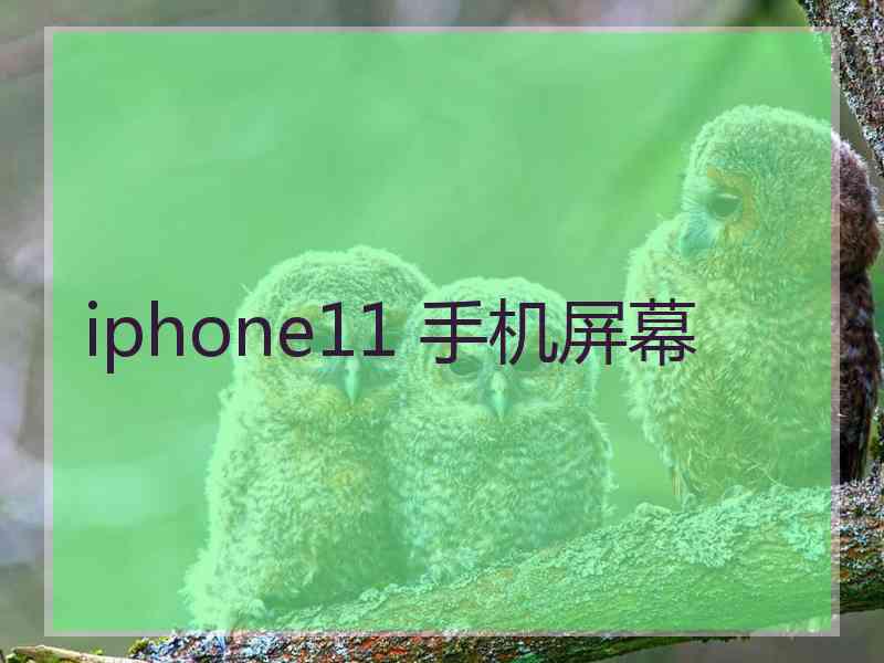 iphone11 手机屏幕