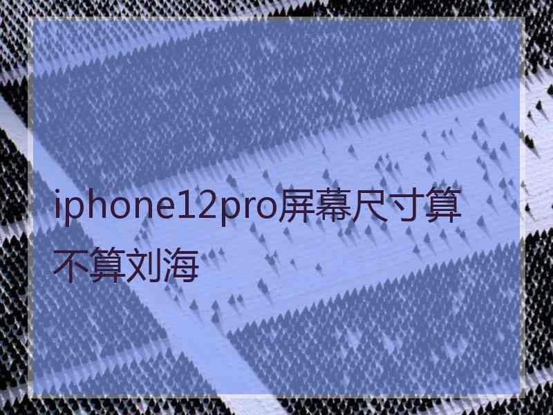 iphone12pro屏幕尺寸算不算刘海