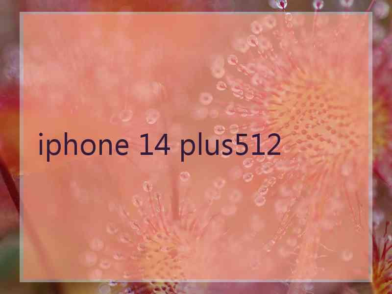 iphone 14 plus512