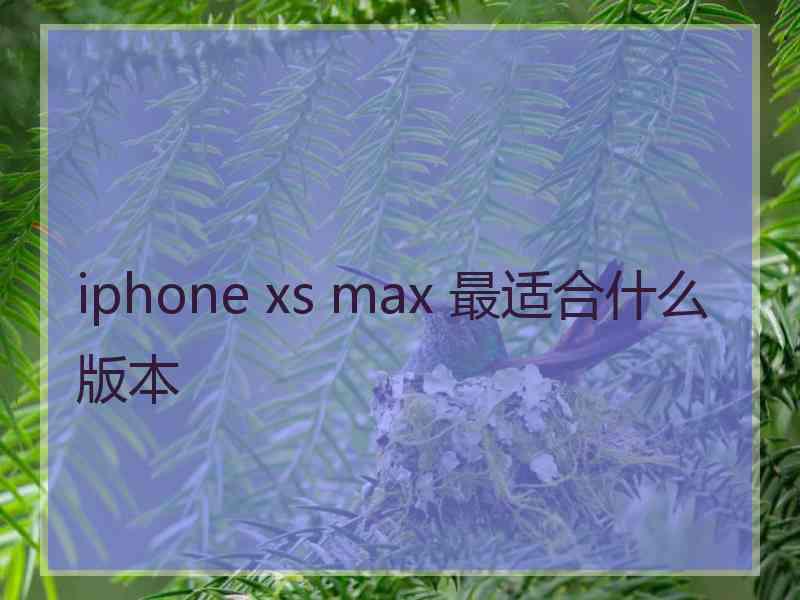 iphone xs max 最适合什么版本