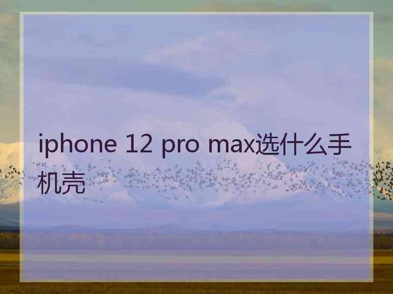 iphone 12 pro max选什么手机壳