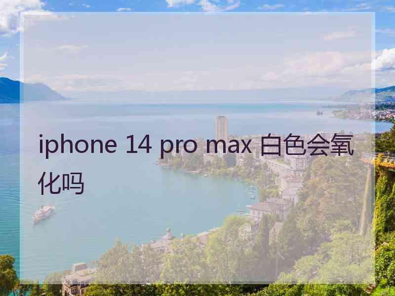 iphone 14 pro max 白色会氧化吗