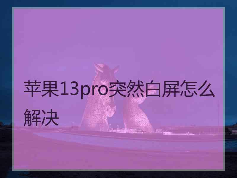 苹果13pro突然白屏怎么解决