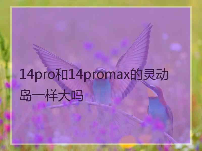 14pro和14promax的灵动岛一样大吗