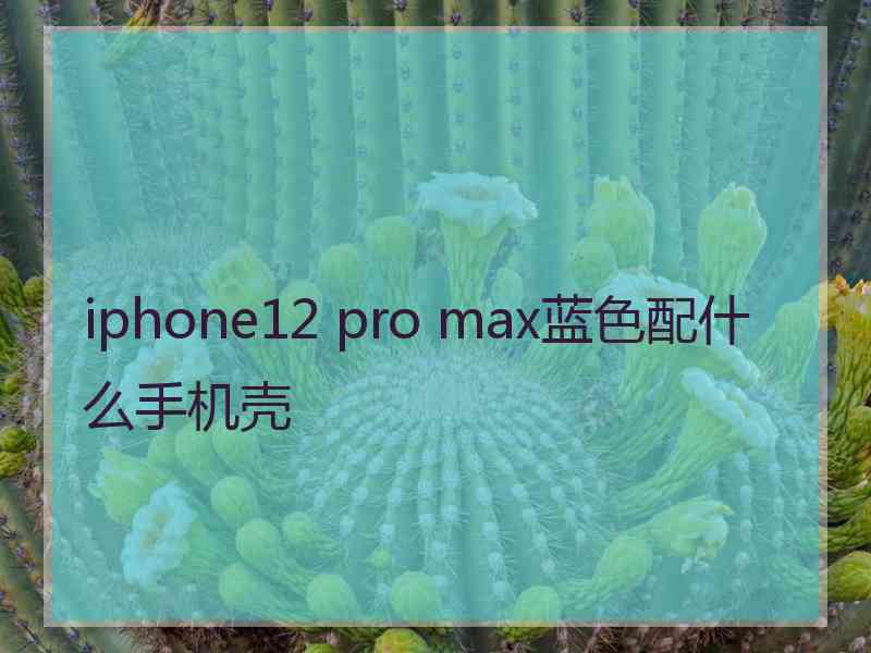 iphone12 pro max蓝色配什么手机壳