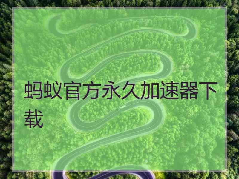 蚂蚁官方永久加速器下载