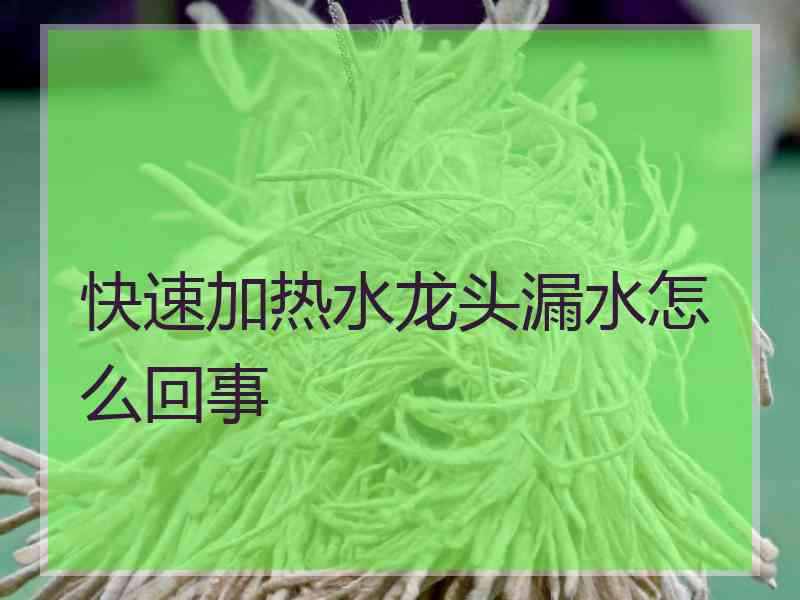 快速加热水龙头漏水怎么回事