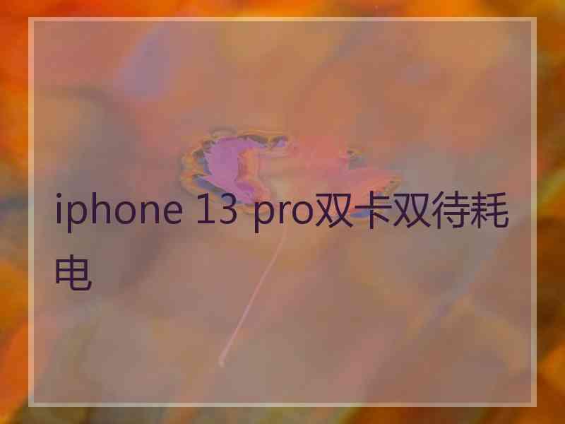 iphone 13 pro双卡双待耗电