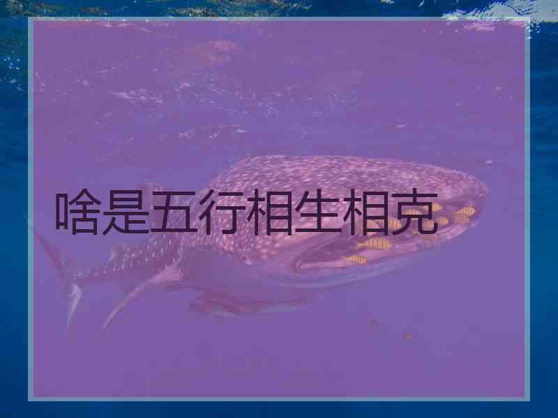 啥是五行相生相克