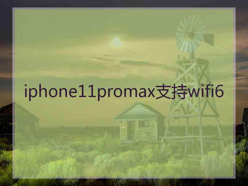 iphone11promax支持wifi6