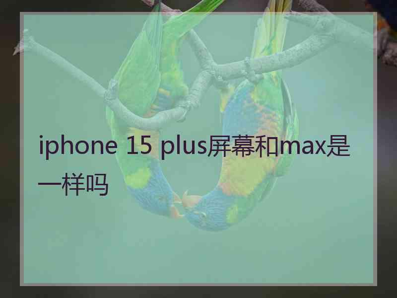 iphone 15 plus屏幕和max是一样吗