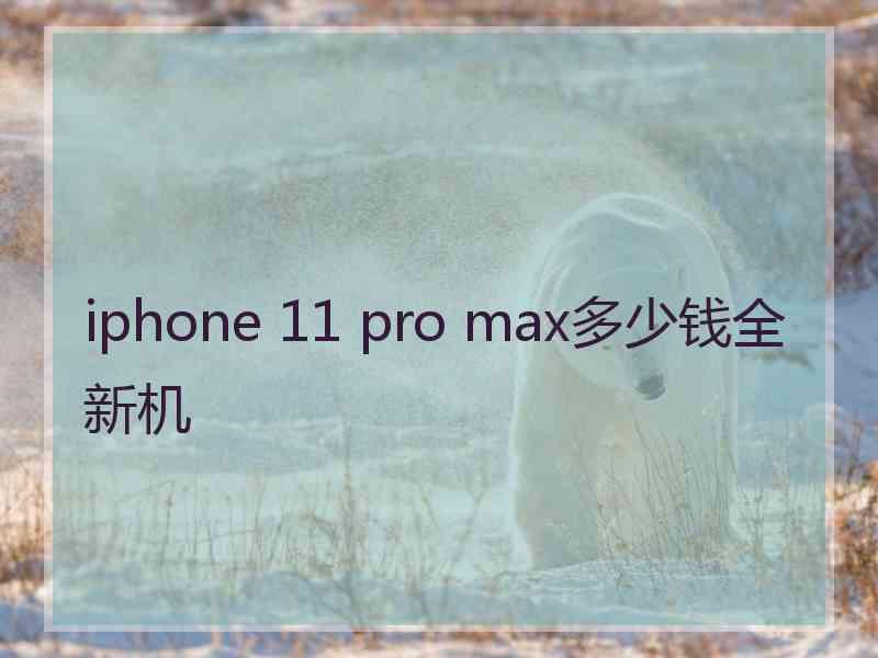 iphone 11 pro max多少钱全新机