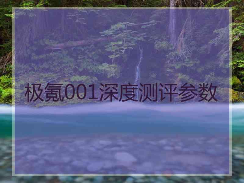 极氪001深度测评参数