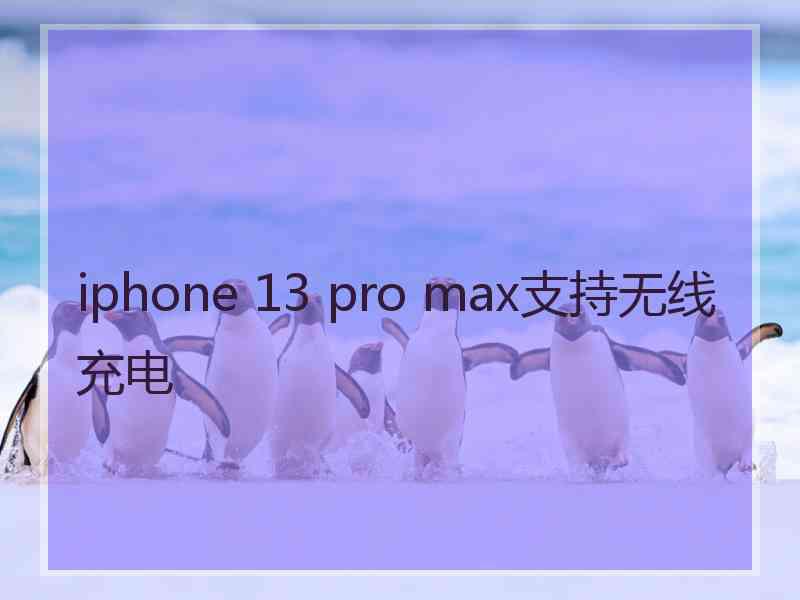 iphone 13 pro max支持无线充电