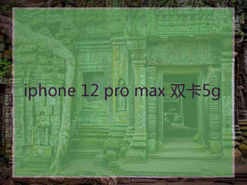 iphone 12 pro max 双卡5g