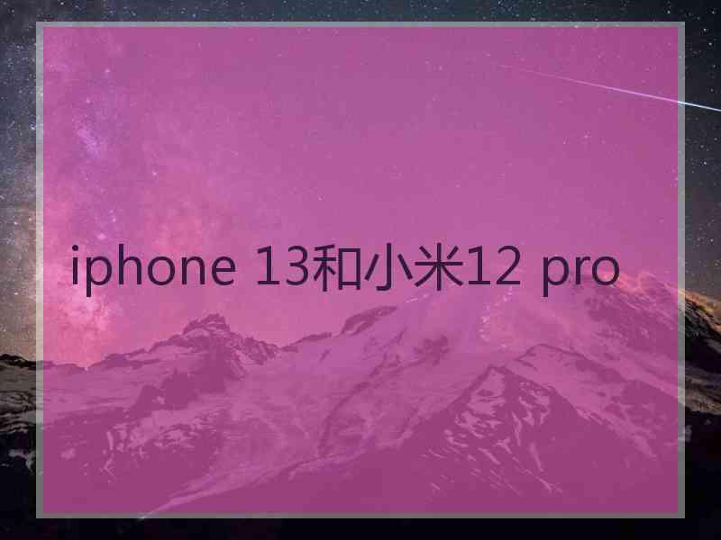 iphone 13和小米12 pro