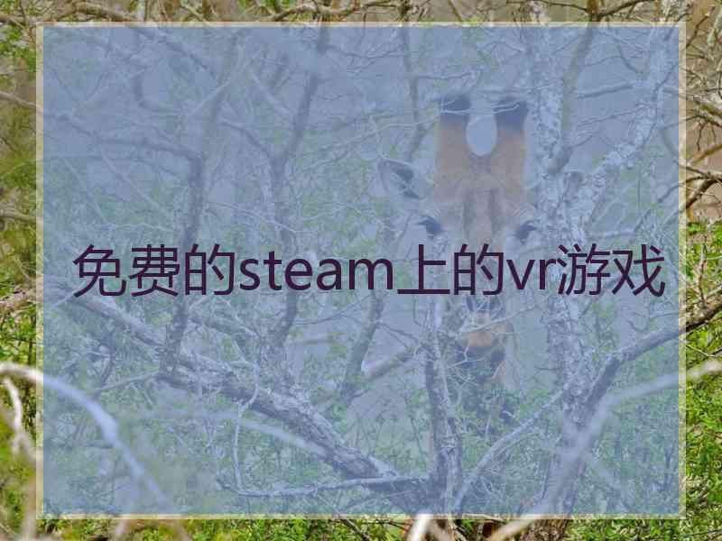 免费的steam上的vr游戏