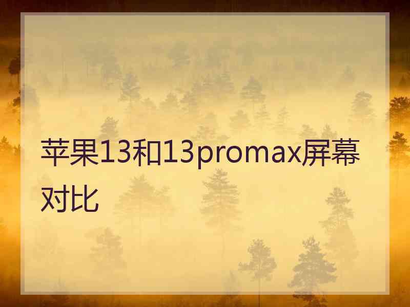 苹果13和13promax屏幕对比