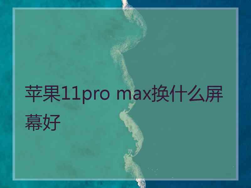 苹果11pro max换什么屏幕好