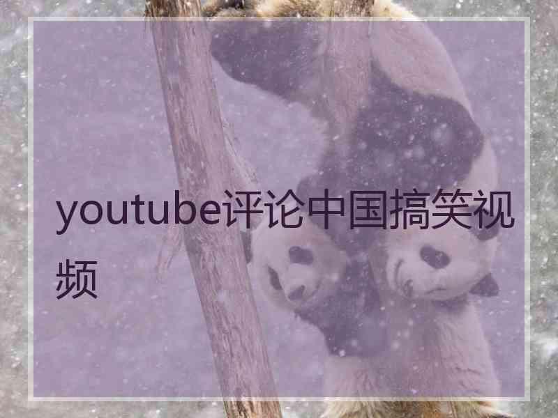 youtube评论中国搞笑视频