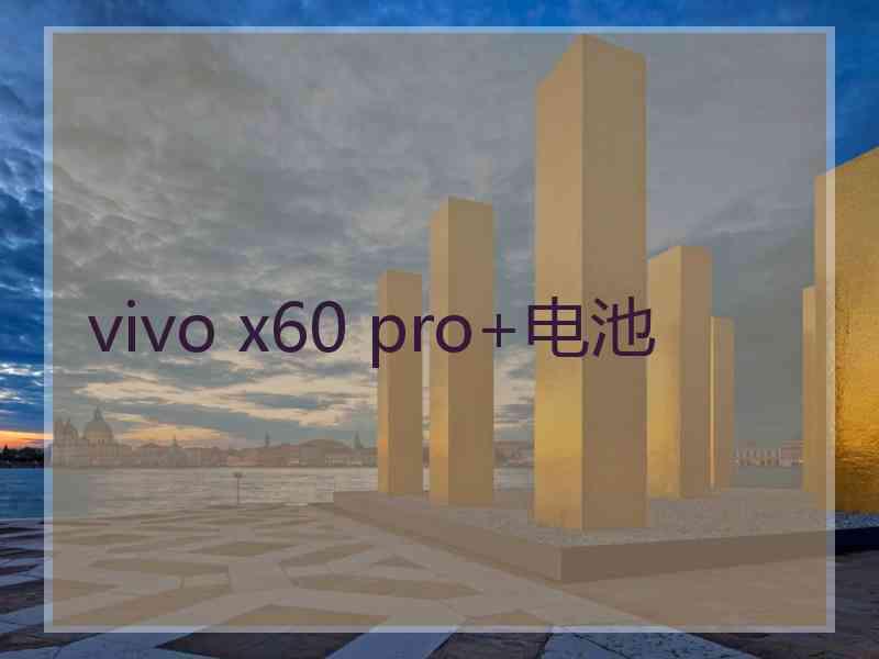 vivo x60 pro+电池