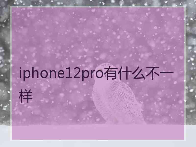 iphone12pro有什么不一样