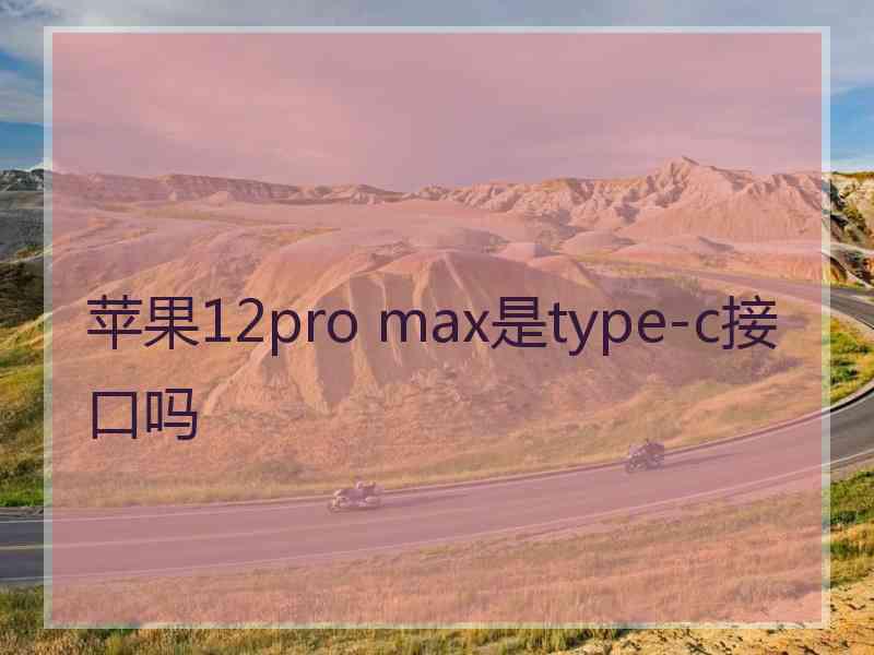 苹果12pro max是type-c接口吗