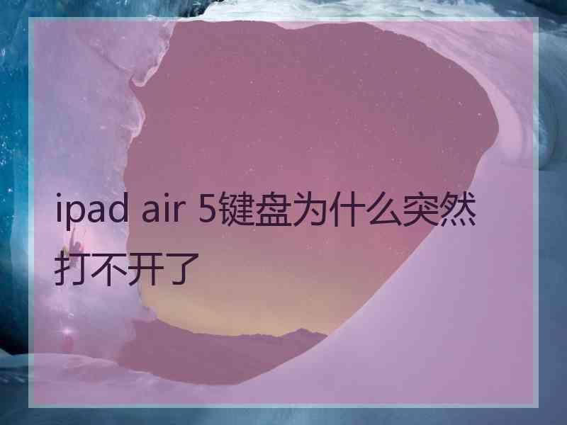 ipad air 5键盘为什么突然打不开了