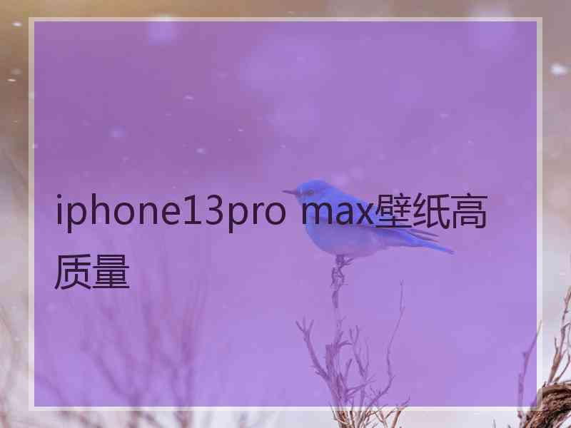 iphone13pro max壁纸高质量