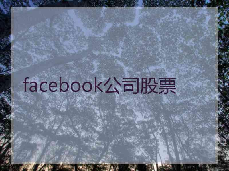 facebook公司股票