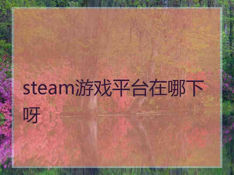 steam游戏平台在哪下呀