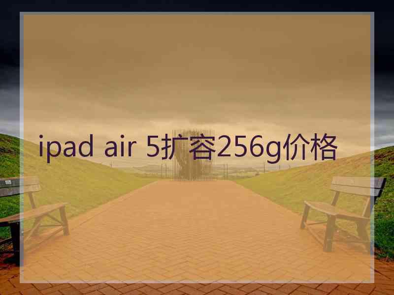 ipad air 5扩容256g价格