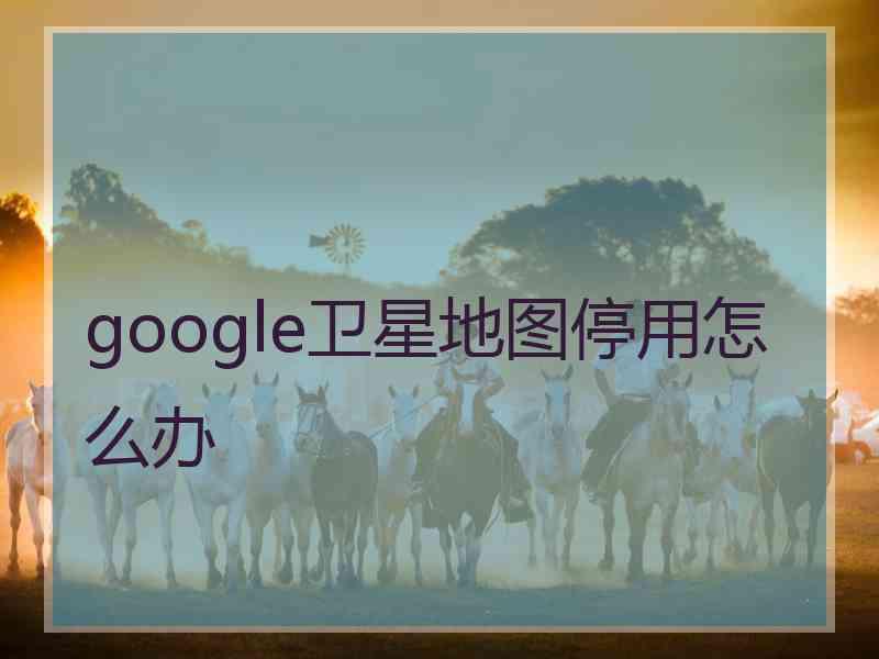 google卫星地图停用怎么办