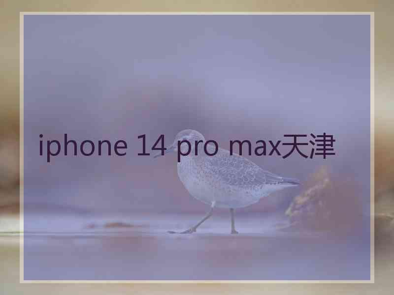 iphone 14 pro max天津